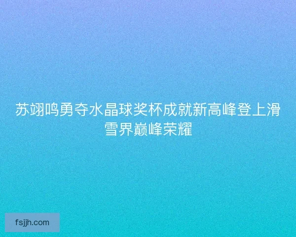 苏翊鸣勇夺水晶球奖杯成就新高峰登上滑雪界巅峰荣耀